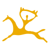 konnie-vidy-sporta
